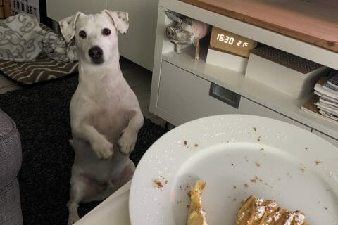 Cliquez pour zoomer ! Tarte Suisse aux pommes Thermomix par vanessa2106