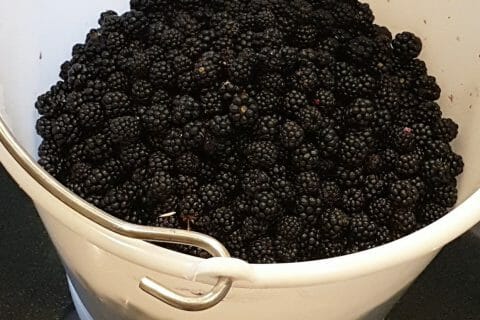 Cliquez pour zoomer ! Confiture de mûres Thermomix par katy_8