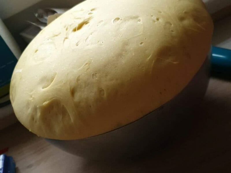 Cliquez pour zoomer ! Pâte à pizza Thermomix par flore62
