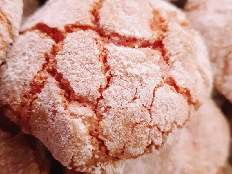 Cliquez pour zoomer ! Craquelés aux biscuits roses de Reims Thermomix par stolela