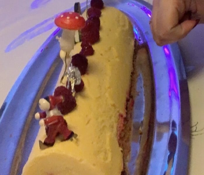 Cliquez pour zoomer ! Bûche glacée mangue et framboise Thermomix par melo026