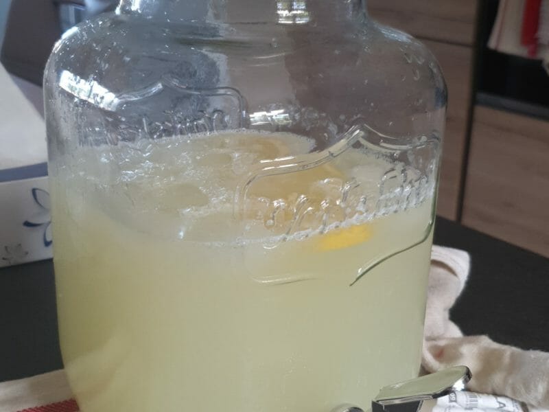 Cliquez pour zoomer ! Citronnade Thermomix par marine_132