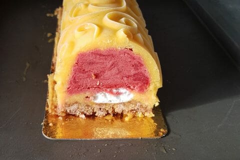 Cliquez pour zoomer ! Bûche glacée mangue et framboise Thermomix par luludigicook