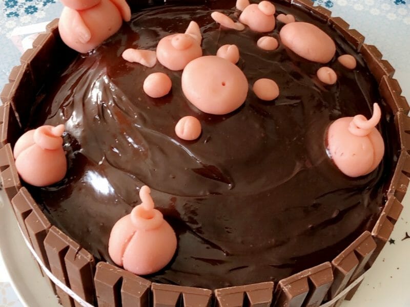 Cliquez pour zoomer ! La mare aux cochons Thermomix par sansan2407