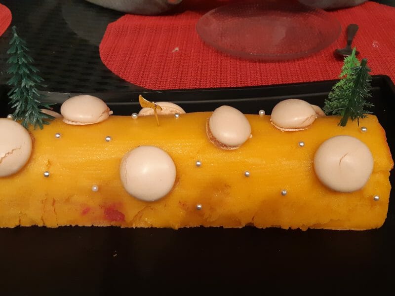 Cliquez pour zoomer ! Bûche glacée mangue et framboise Thermomix par micalora