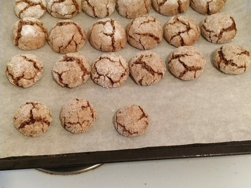 Cliquez pour zoomer ! Boules au chocolat Thermomix par Élodie