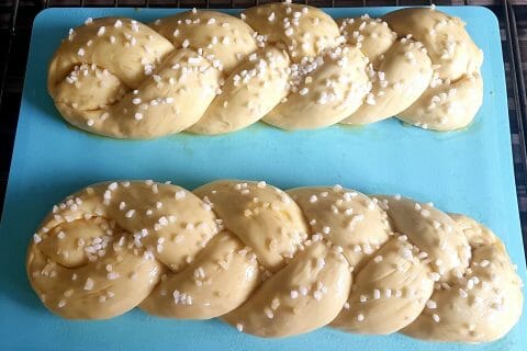 Cliquez pour zoomer ! Photo de titeritale