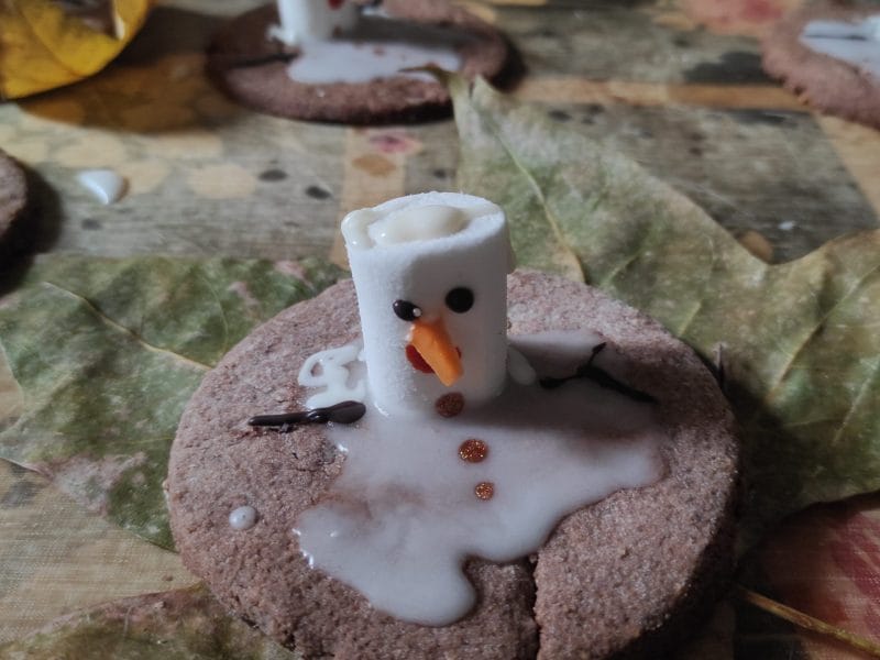 Cliquez pour zoomer ! Sablés bonhomme de neige fondu Thermomix par nathalie04