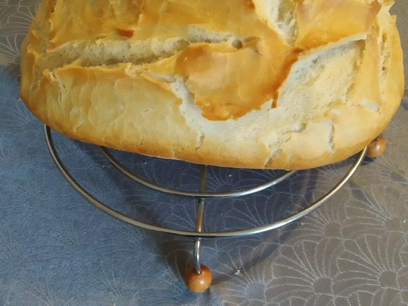 Cliquez pour zoomer ! Pain Cocotte Thermomix par anneds17