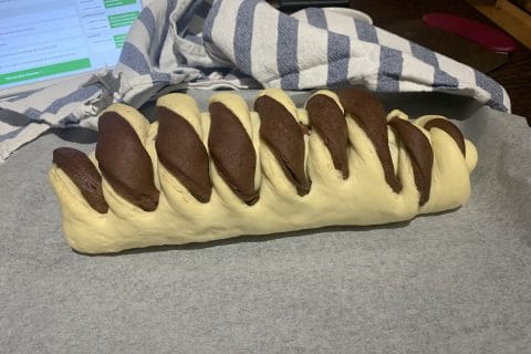 Cliquez pour zoomer ! Brioche marbrée Thermomix par pompompidouu