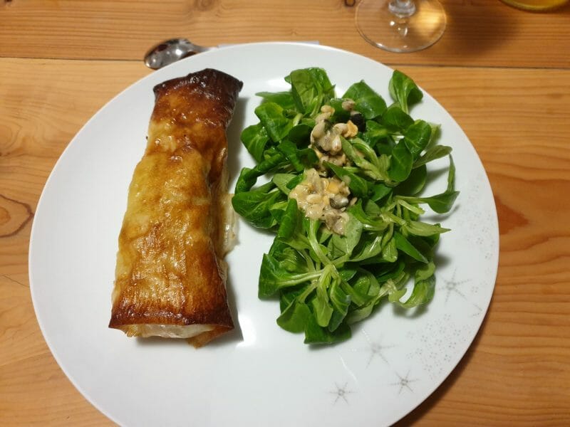 Cliquez pour zoomer ! Brick de saumon et poireaux Thermomix par Dodi