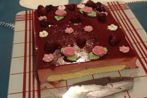 Bavarois aux framboises Thermomix par etoiledusud34