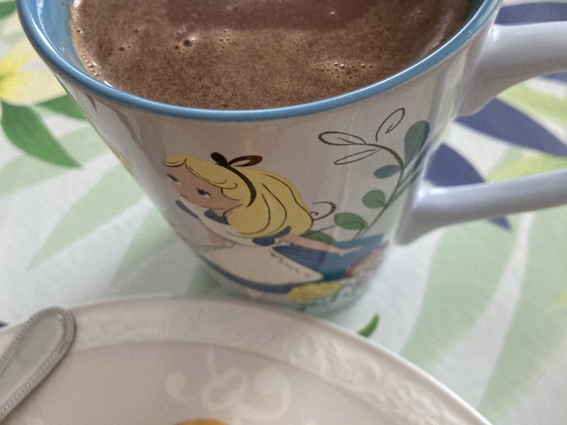 Cliquez pour zoomer ! Chocolat chaud Thermomix par maldivesbynight