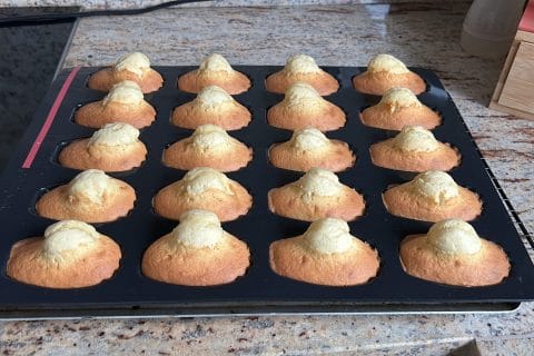 Cliquez pour zoomer ! Madeleines Thermomix par FaMilLeSoTh