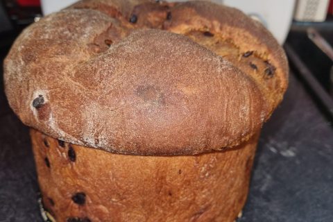 Cliquez pour zoomer ! Panettone Thermomix par val79