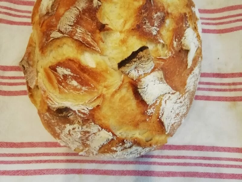 Cliquez pour zoomer ! Pain Cocotte Thermomix par sarah81