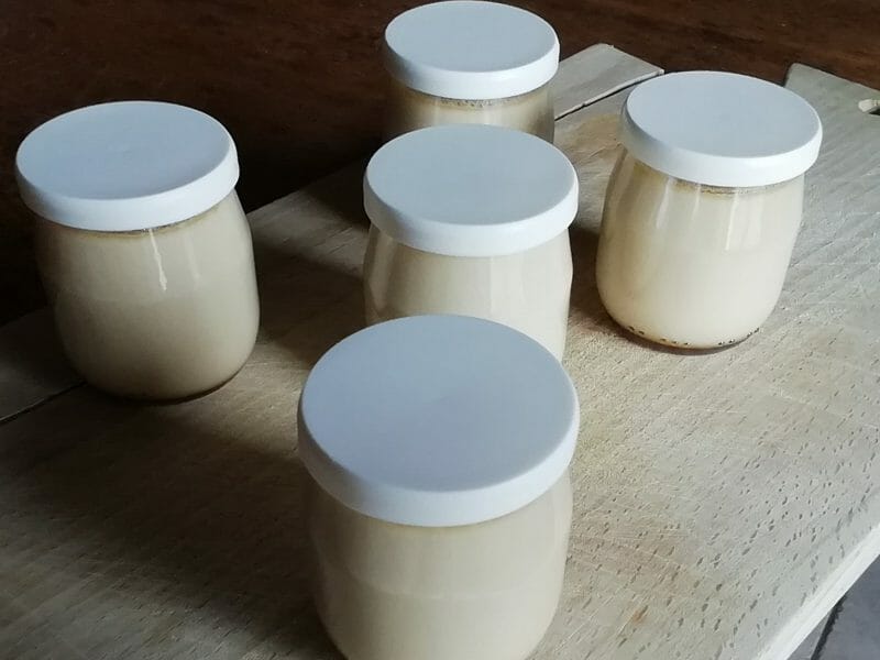 Cliquez pour zoomer ! Flamby Thermomix par BORGNOLLES