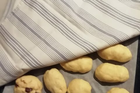 Cliquez pour zoomer ! Pain brioché au chocolat – Pitch Thermomix par BORGNOLLES