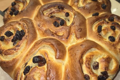 Cliquez pour zoomer ! Photo de Evelyne