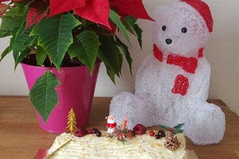 Cliquez pour zoomer ! Bûche de Noël framboises et chocolat blanc Thermomix par Anthony01160
