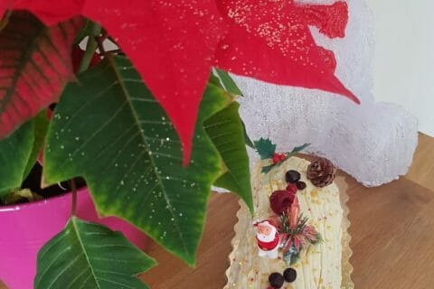 Cliquez pour zoomer ! Bûche de Noël framboises et chocolat blanc Thermomix par Anthony01160