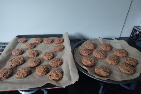 Cliquez pour zoomer ! Biscuits aux flocons d’avoine, cacahuètes et chocolat Thermomix par joceChinaillon74