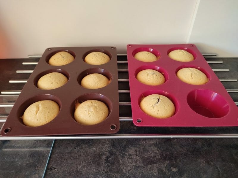 Cliquez pour zoomer ! Doffins Thermomix par joceChinaillon74