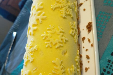 Cliquez pour zoomer ! Bûche glacée mangue et framboise Thermomix par mdc2015