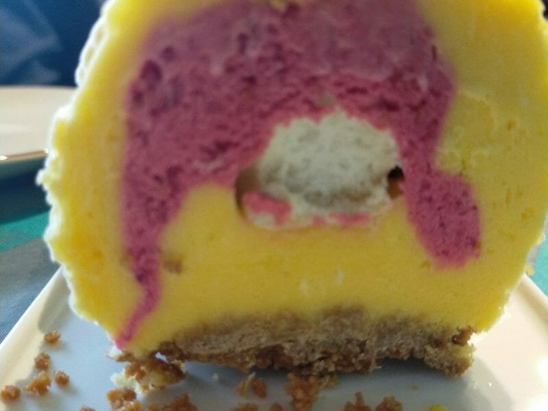Cliquez pour zoomer ! Bûche glacée mangue et framboise Thermomix par mdc2015