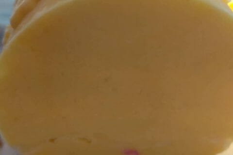Cliquez pour zoomer ! Bûche glacée mangue et framboise Thermomix par mdc2015