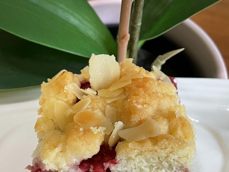 Cliquez pour zoomer ! Cookie-crumble rhubarbe framboises Thermomix par Ilham_z