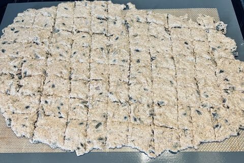 Cliquez pour zoomer ! Crackers salés à l’emmental et aux graines Thermomix par aherasse