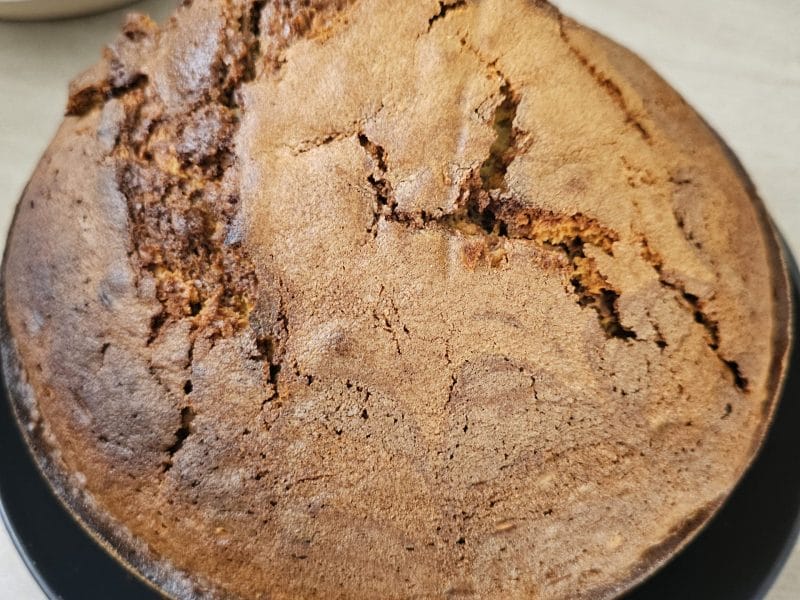 Cliquez pour zoomer ! Gâteau zébré Thermomix par niass92