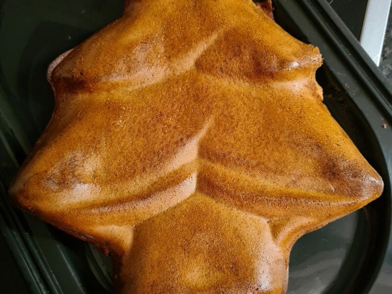 Cliquez pour zoomer ! Gâteau au chocolat des écoliers Thermomix par niass92