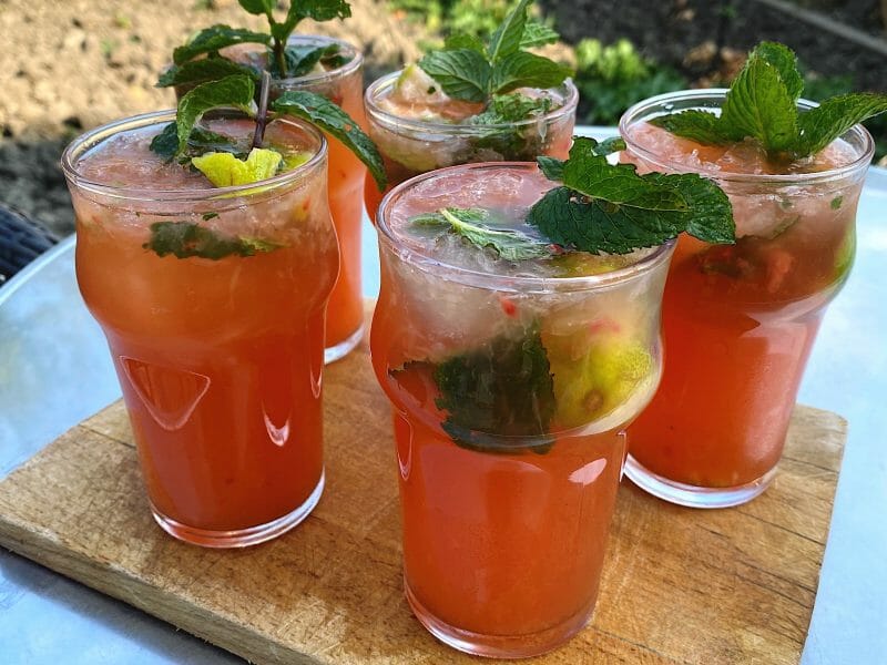 Cliquez pour zoomer ! Mojito Thermomix par lylycookies