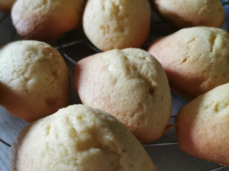 Cliquez pour zoomer ! Madeleines Thermomix par jennsen89