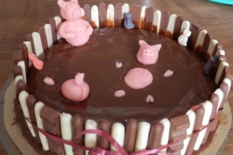 Cliquez pour zoomer ! Photo de stephauxfourneaux