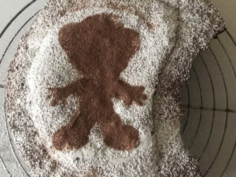 Cliquez pour zoomer ! Gâteau au chocolat des écoliers Thermomix par emeline23