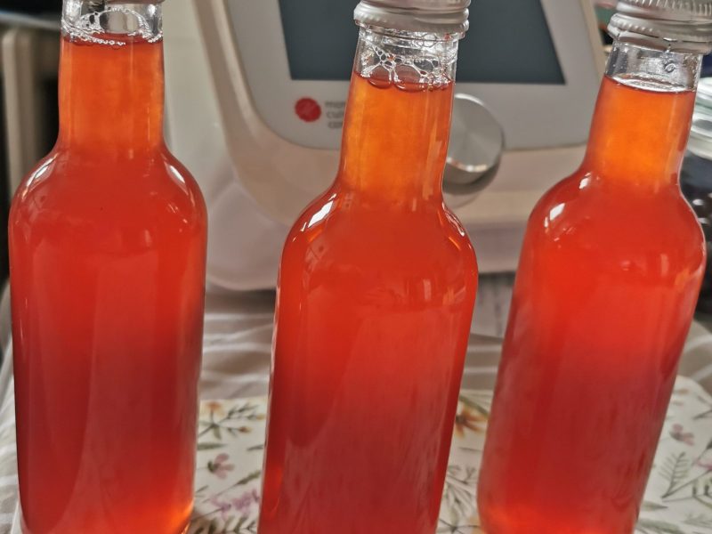 Cliquez pour zoomer ! Sirop de queues de fraises Thermomix par mamjuju57