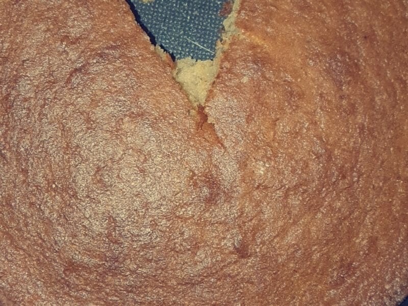 Cliquez pour zoomer ! Gâteau au yaourt Thermomix par rachoumk