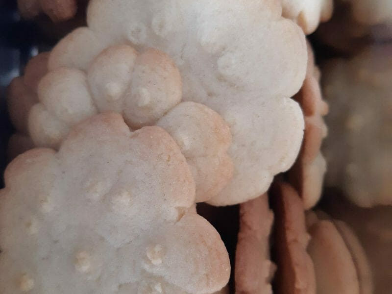 Cliquez pour zoomer ! Sablés à la presse à biscuits Thermomix par myleneniliam