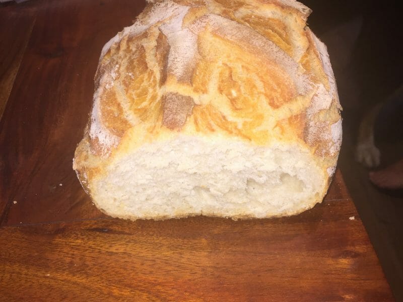 Cliquez pour zoomer ! Pain Cocotte Thermomix par josie42