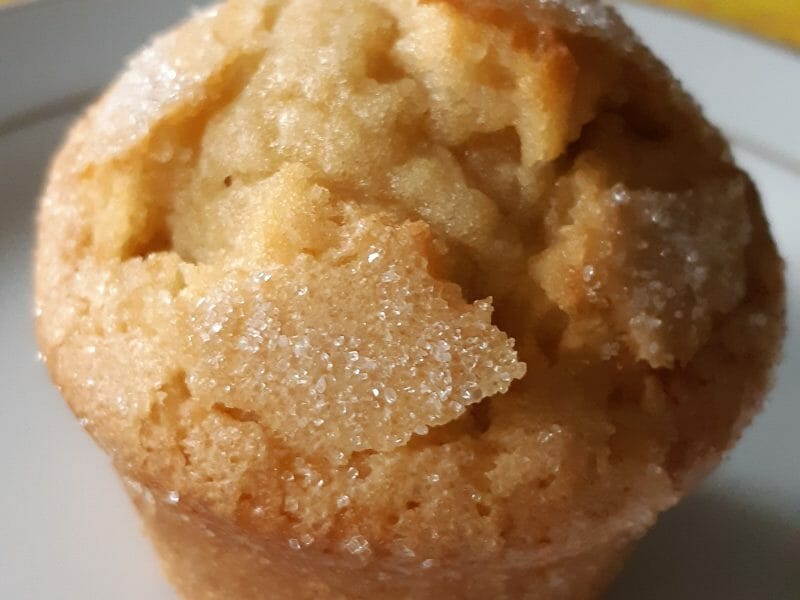 Cliquez pour zoomer ! Magdalenas – Madeleines espagnoles Thermomix par gailou