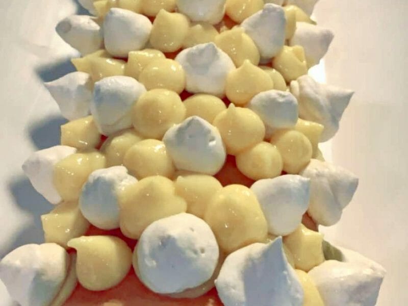 Cliquez pour zoomer ! Bûche au citron meringuée Thermomix par mely68