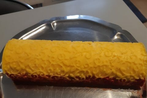Cliquez pour zoomer ! Bûche glacée mangue et framboise Thermomix par veronique22