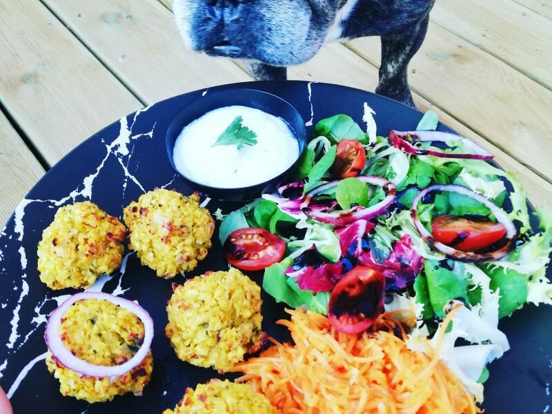 Cliquez pour zoomer ! Falafels Thermomix par lowry20