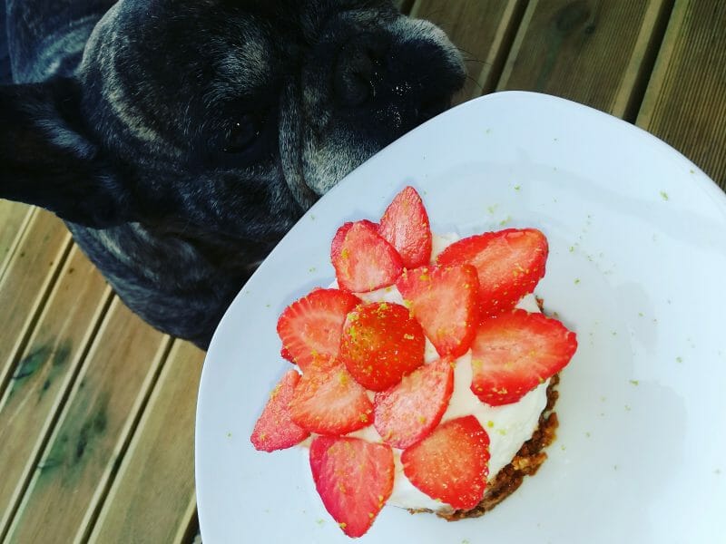 Cliquez pour zoomer ! Tarte aux fraises sans cuisson Thermomix par lowry20