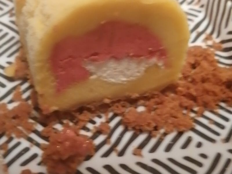 Cliquez pour zoomer ! Bûche glacée mangue et framboise Thermomix par charbonnela