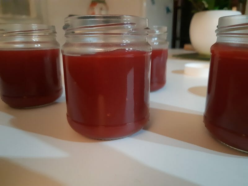 Compote pomme framboise au Thermomix Cookomix