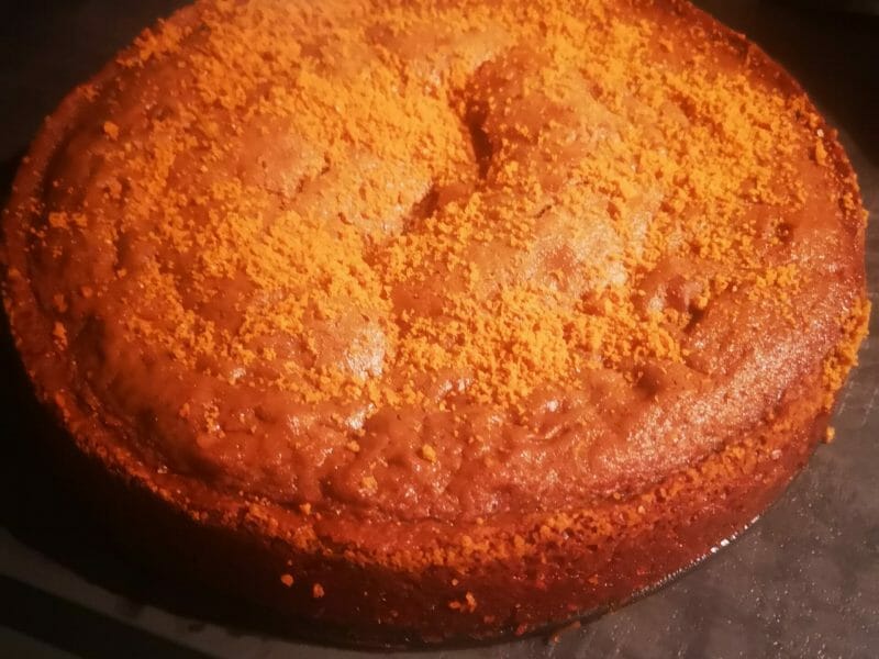 Cliquez pour zoomer ! Gâteau au yaourt et chocolat Thermomix par floflo1995